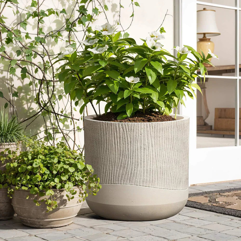 Pomysł na mały ogródek – nowoczesne aranżacje