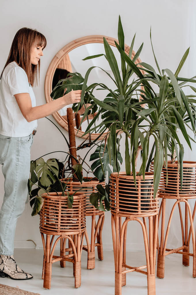 KWIETNIK POLLIE S NATURALNY