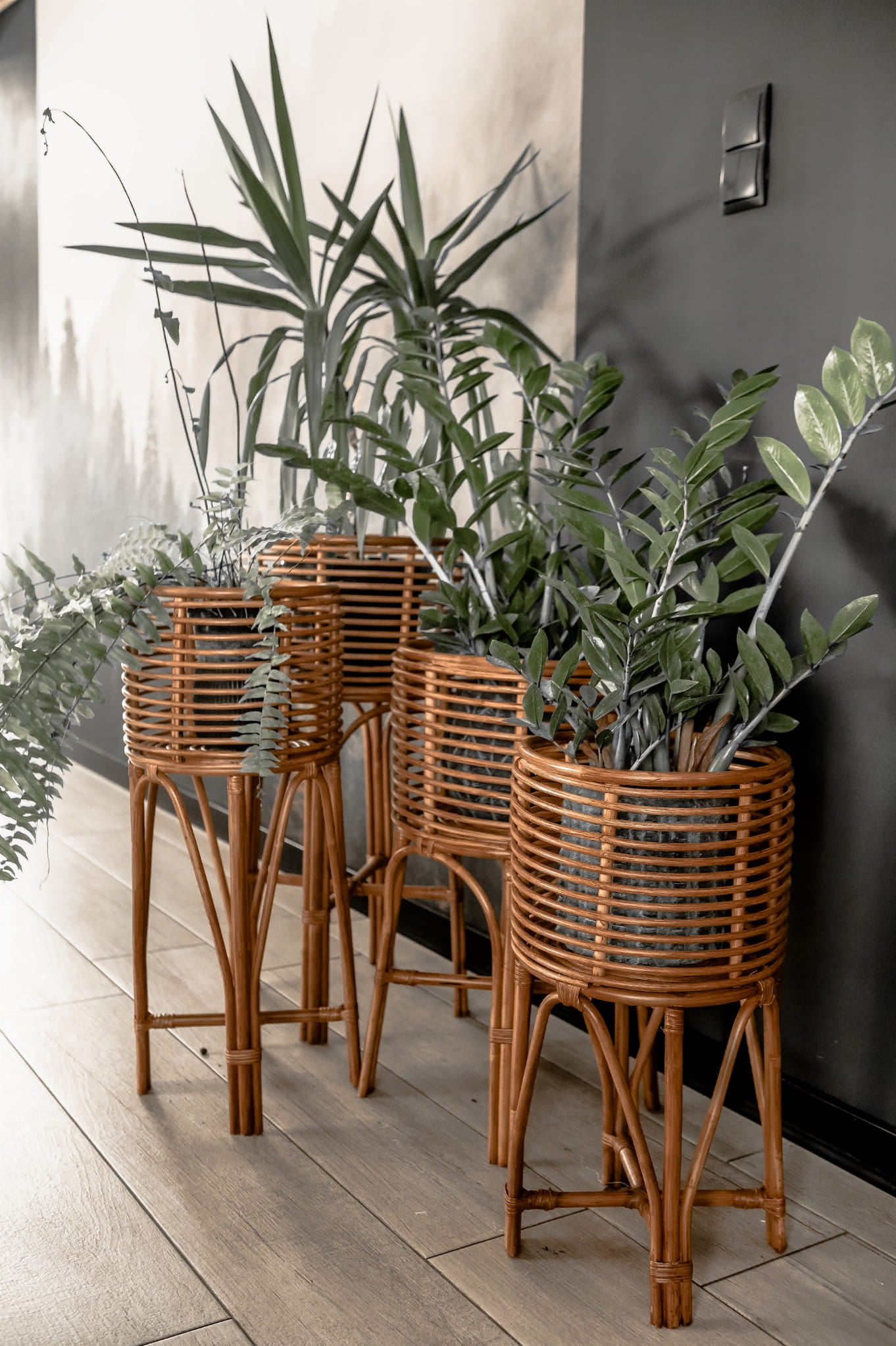 KWIETNIK POLLIE S NATURALNY