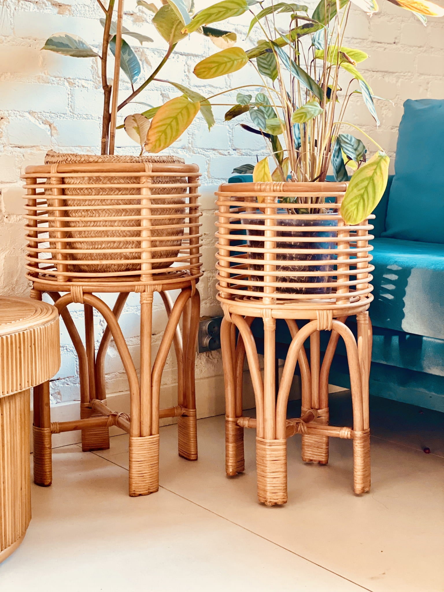 KWIETNIK POLLIE S NATURALNY