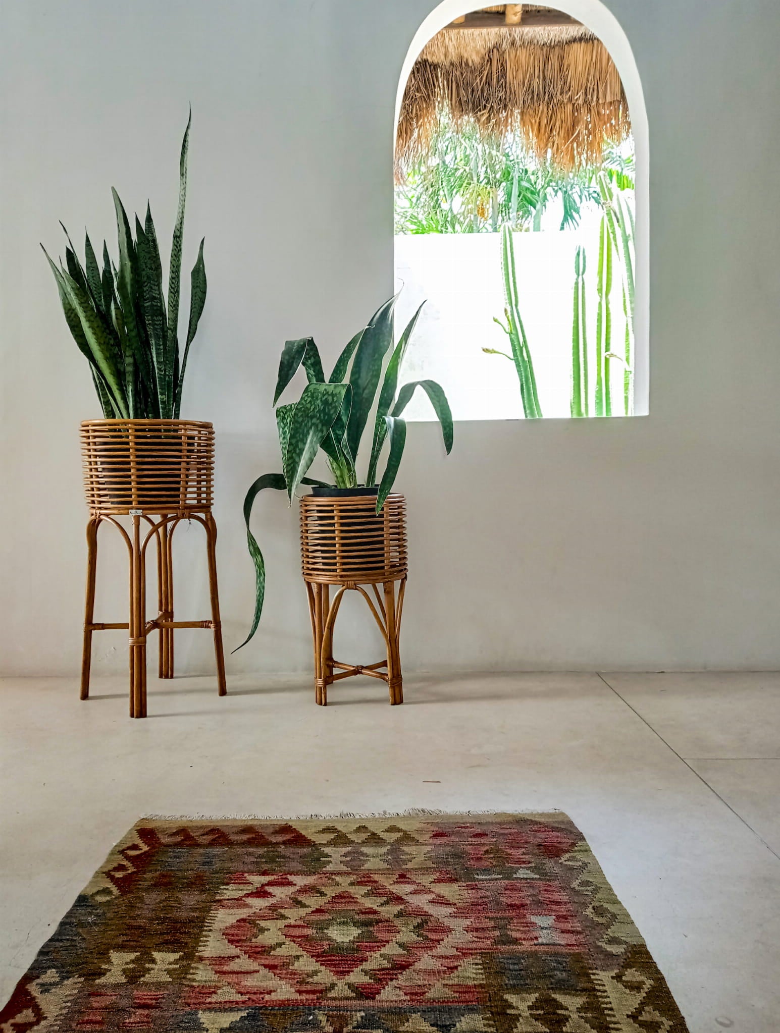 KWIETNIK POLLIE S KARMEL