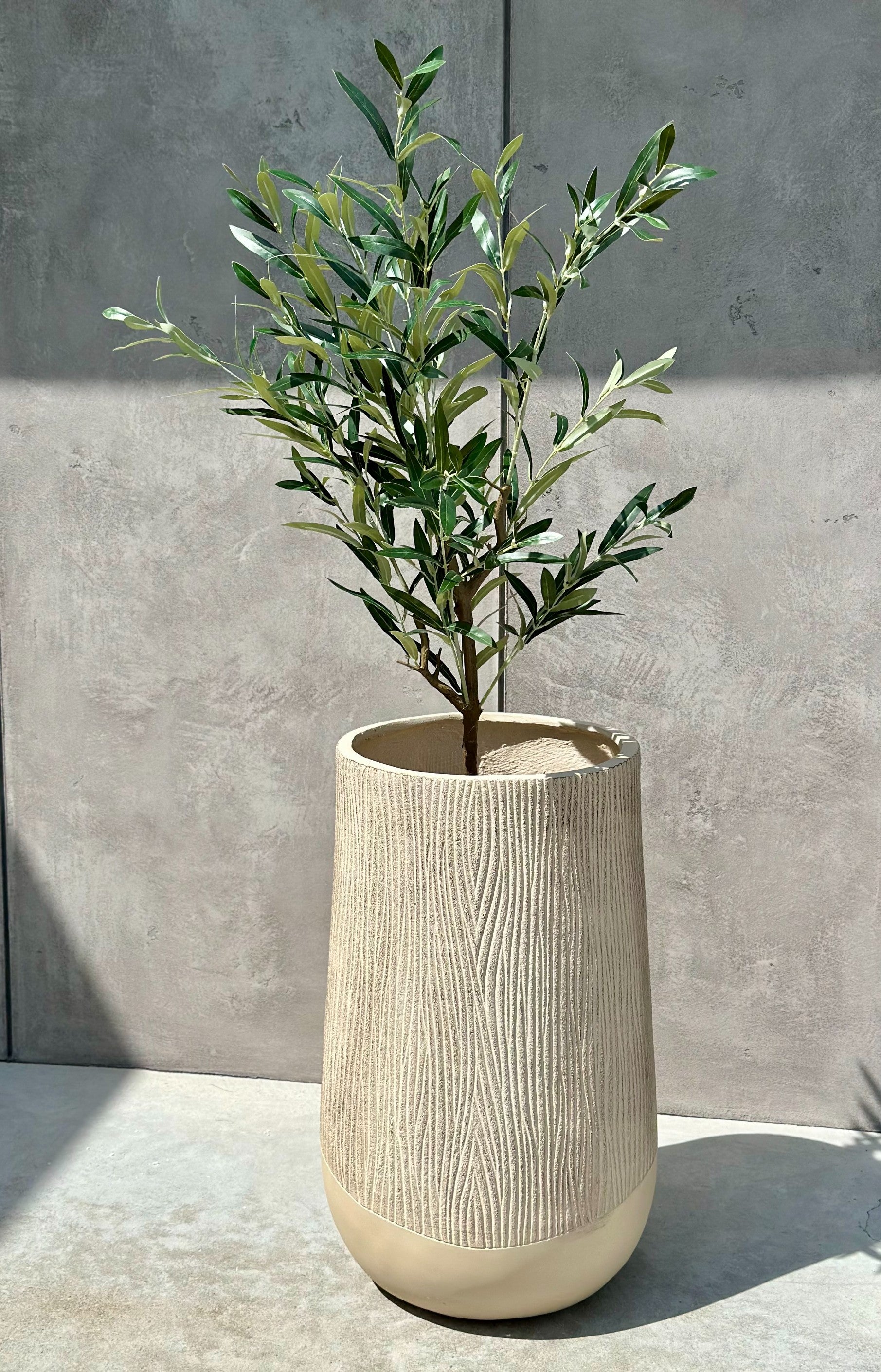 edd68cff3d2badb042ebedf5ef6b04fe