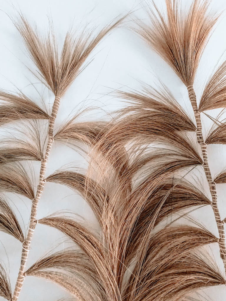 ZESTAW DWÓCH EGZOTYCZNYCH TRAW DEKORACYJNYCH GABBY