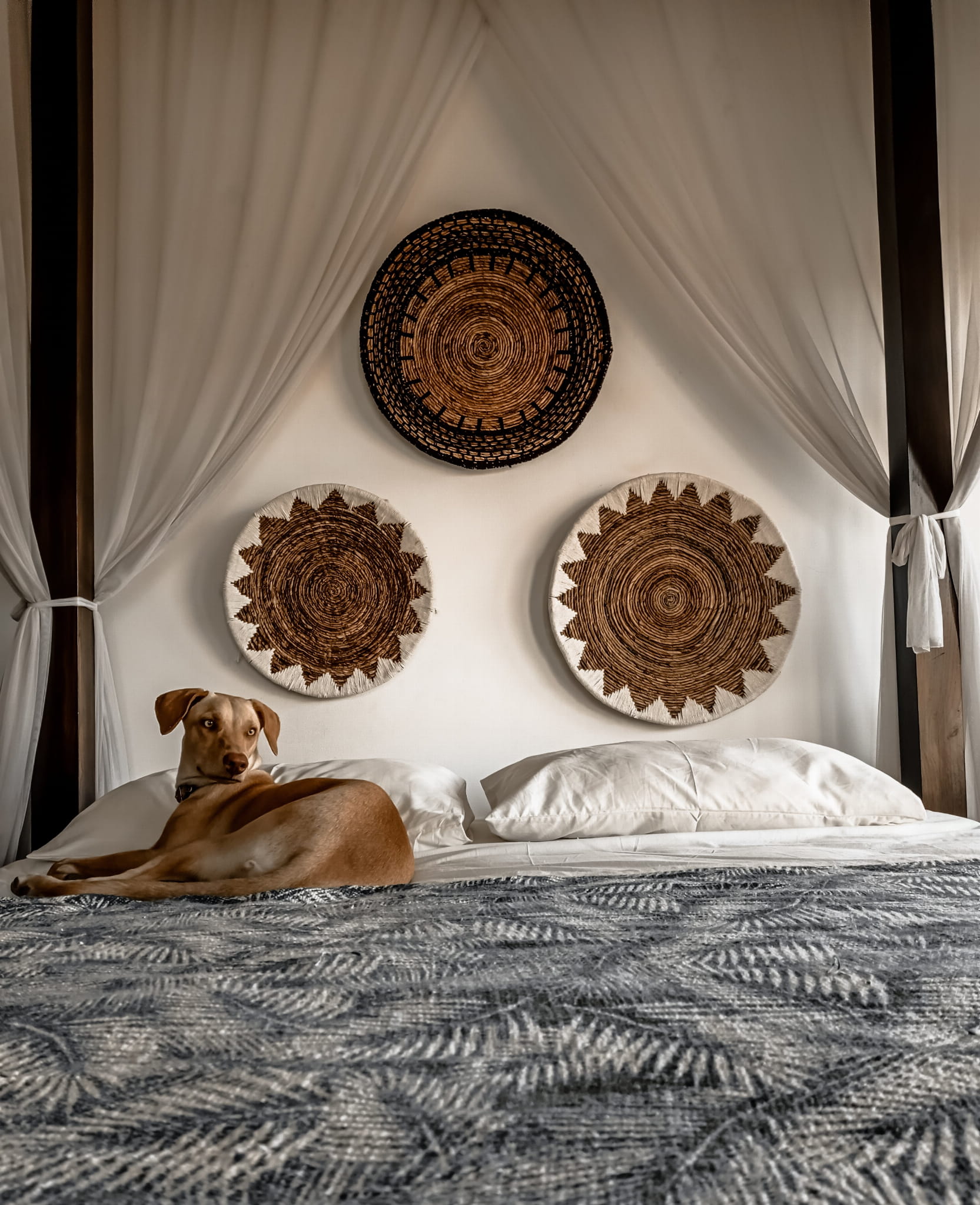 ZESTAW TRZECH TALERZY Z BANANOWCA W CZARNYM KOLORZE