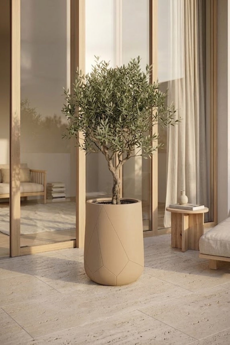 03f12858d56f077200eb36ea239d40b2