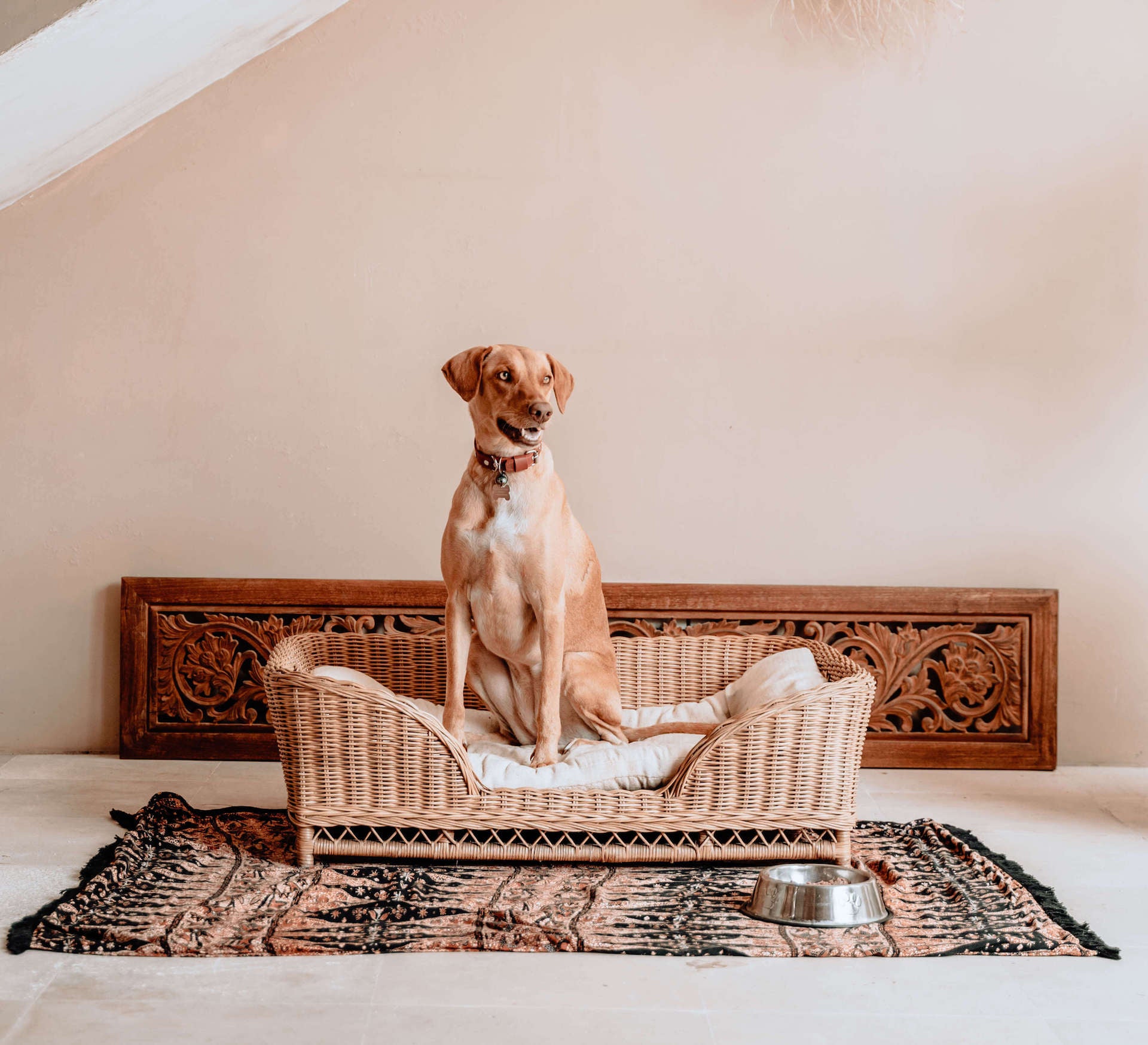 LEGOWISKO DLA PSA KALUA S