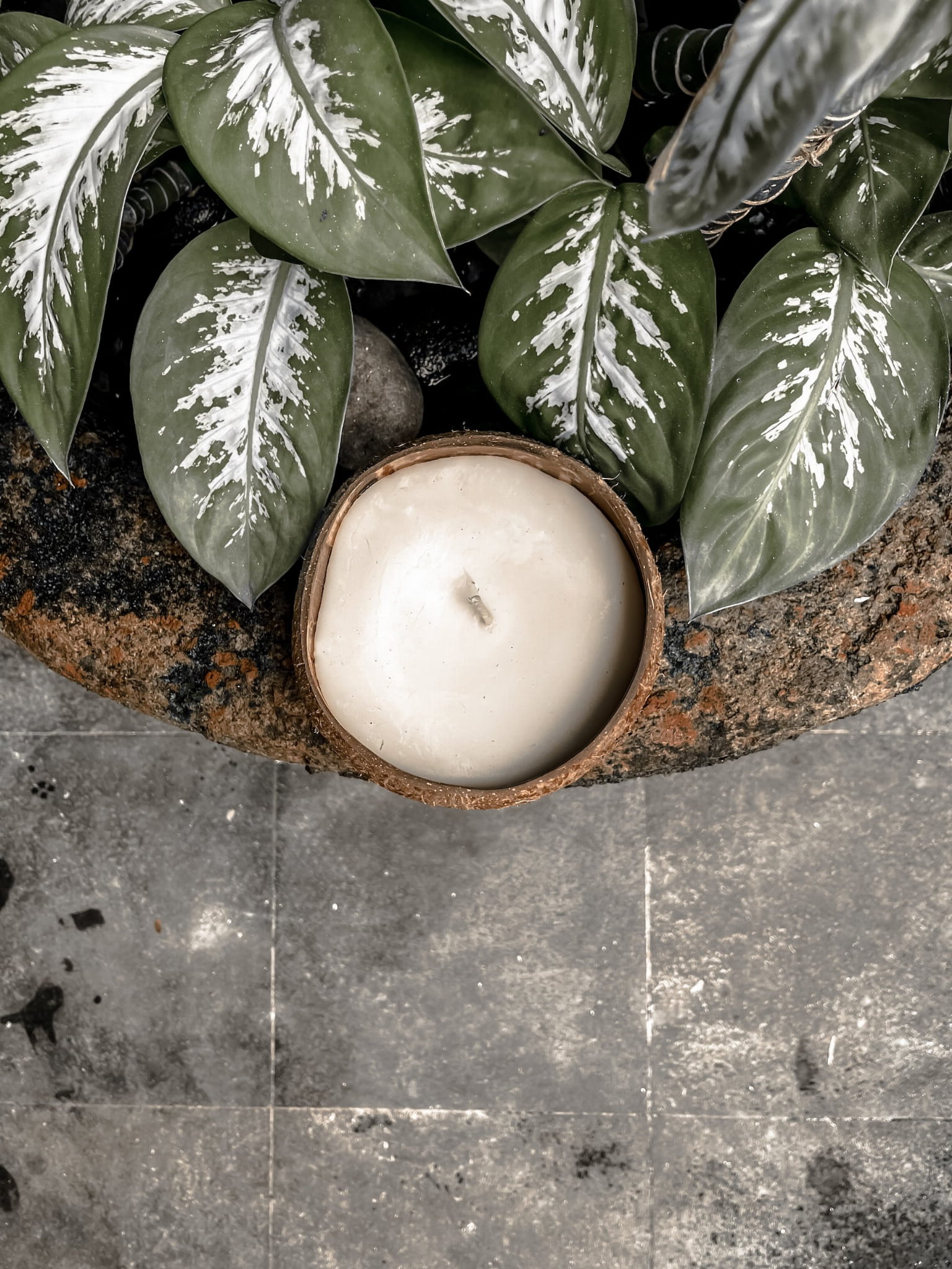 ŚWIECA KOA KOKOSOWA ZAPACHOWA