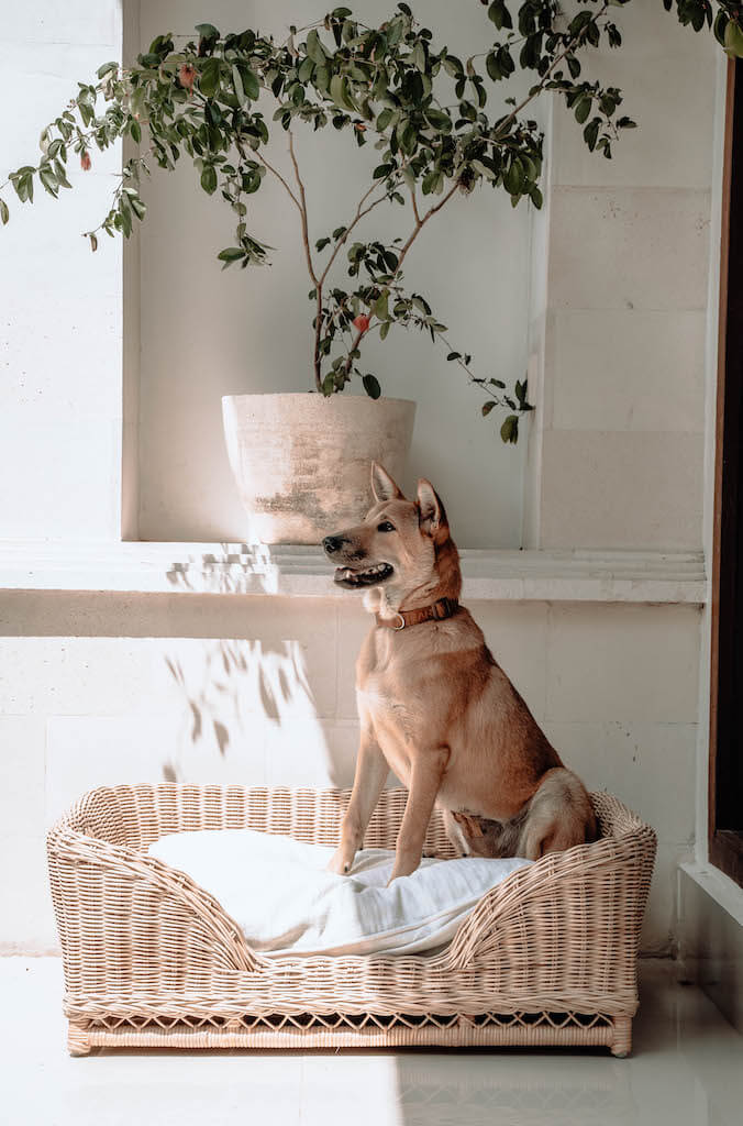 LEGOWISKO DLA PSA KALUA S