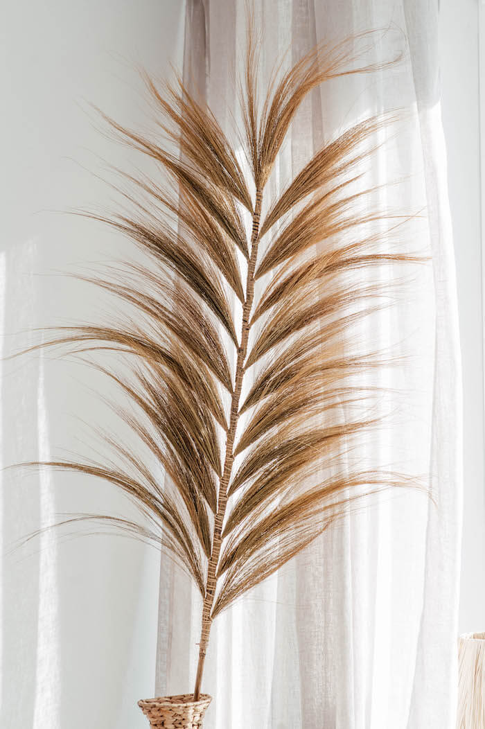 ZESTAW DWÓCH EGZOTYCZNYCH TRAW DEKORACYJNYCH GABBY