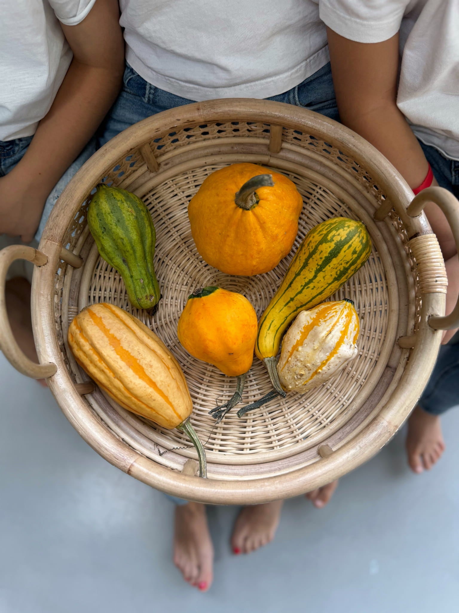 TACA RATTANOWA PALOMA