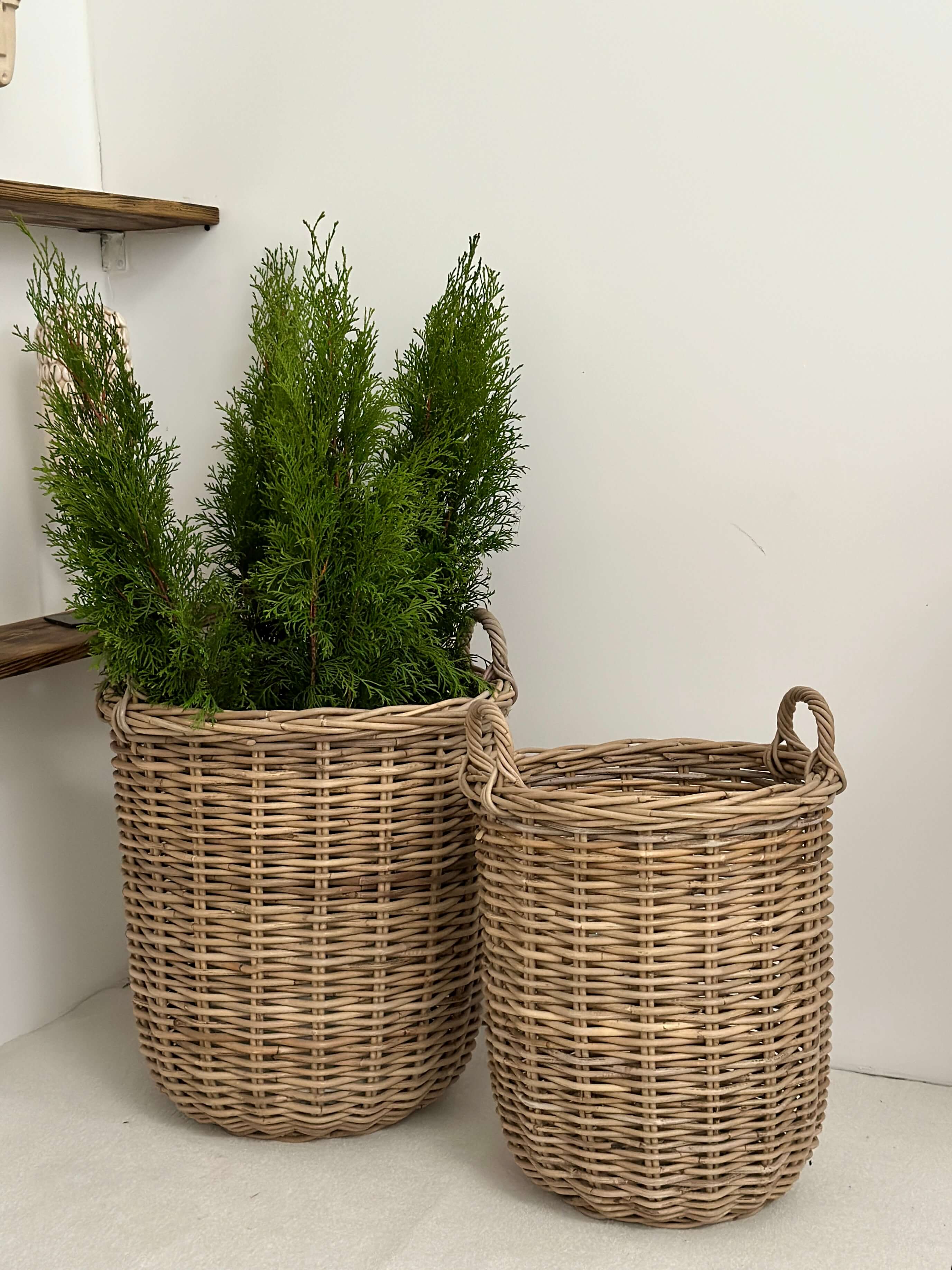 de5d8bcbf505b5c9ba0452ca867222ed