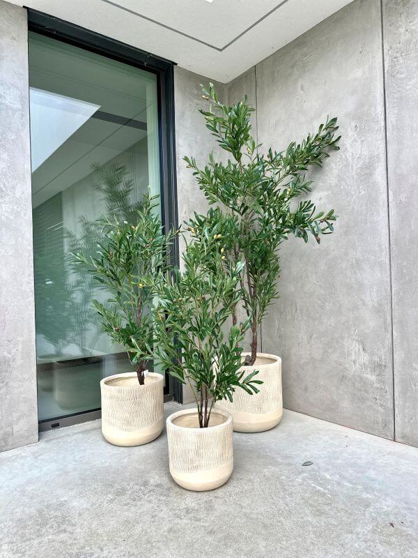 8fc46a788dcef003b07246792b02f8a8