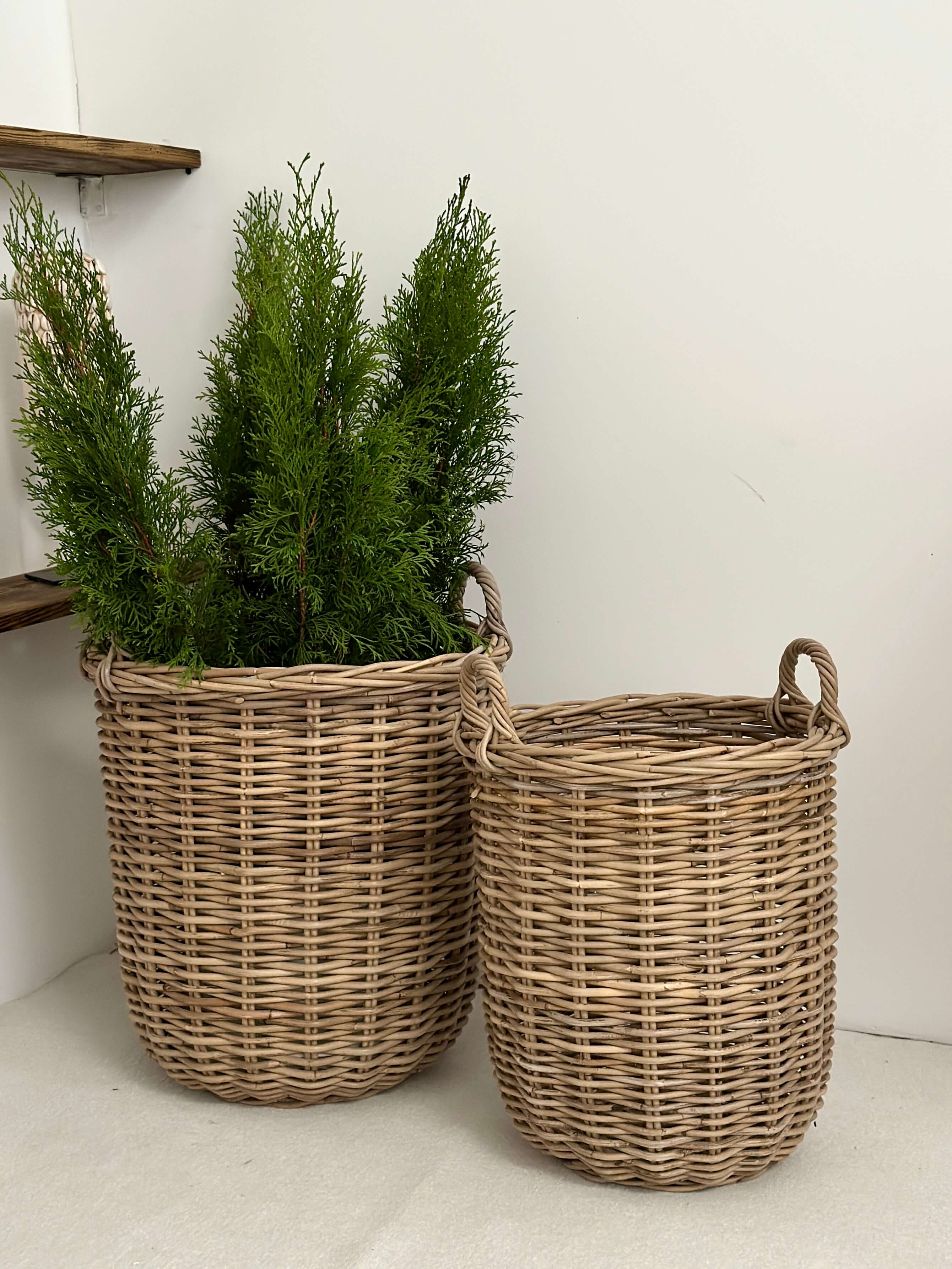 0b2a827d0f34580a63b43906ab4207b8