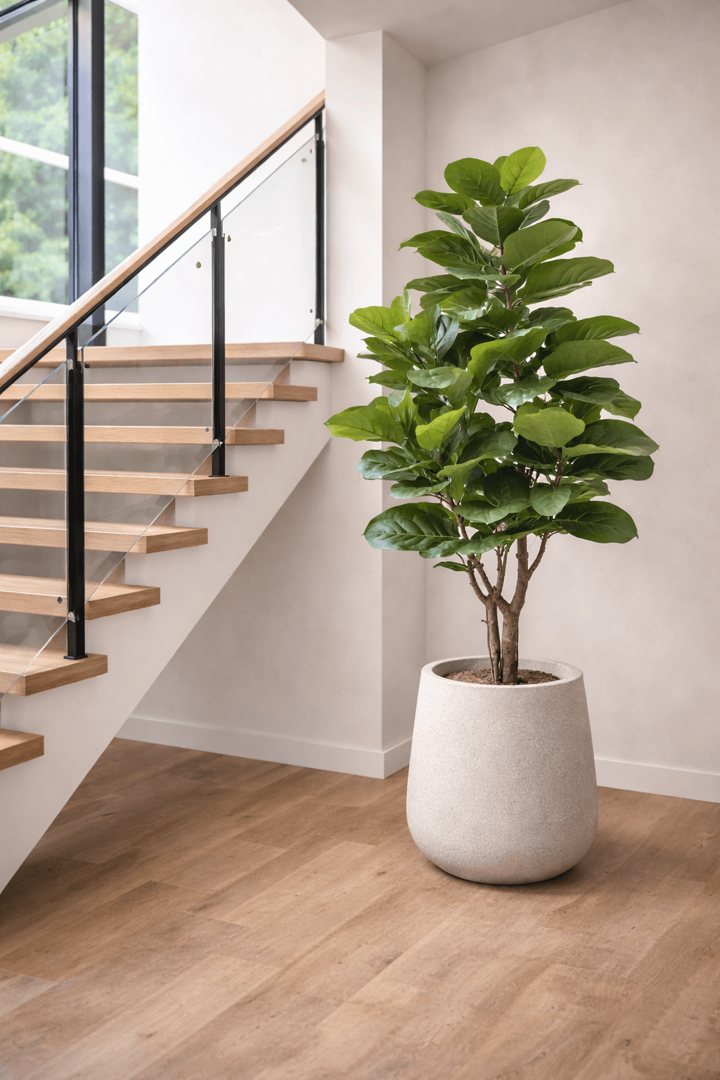 DUŻY FIKUS XXL - DEKORACJA INSPIROWANA NATURĄ