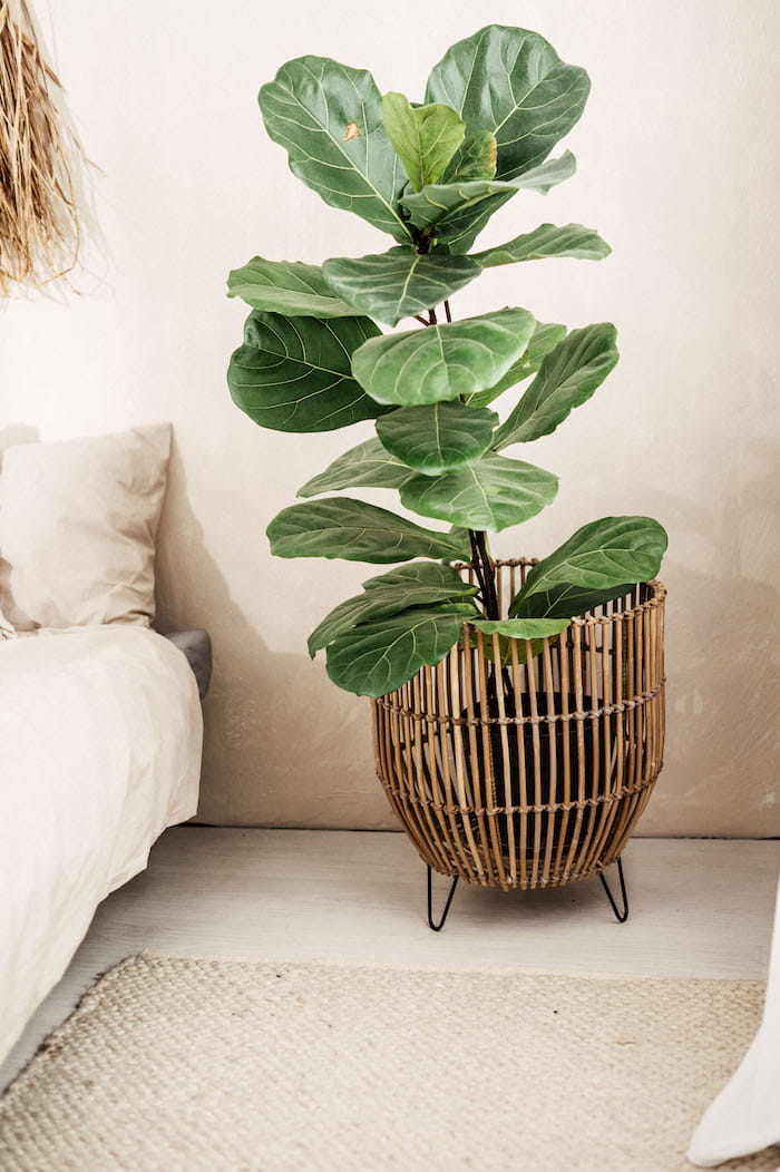 ZESTAW DWÓCH DONIC/KOSZY LAURA – SZARY RATTAN