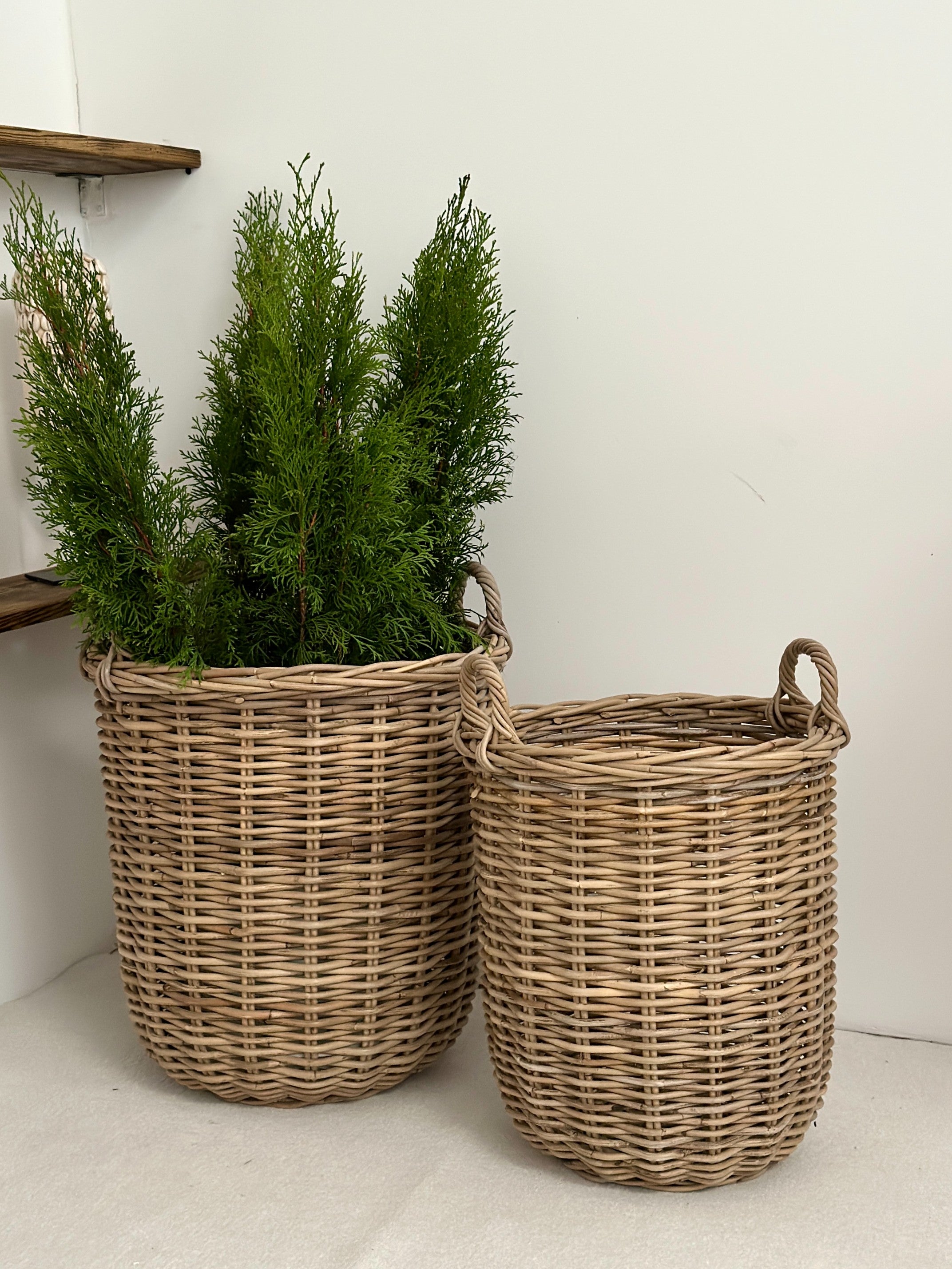 193672b237a7f5aec7c5aba41e7d93ff