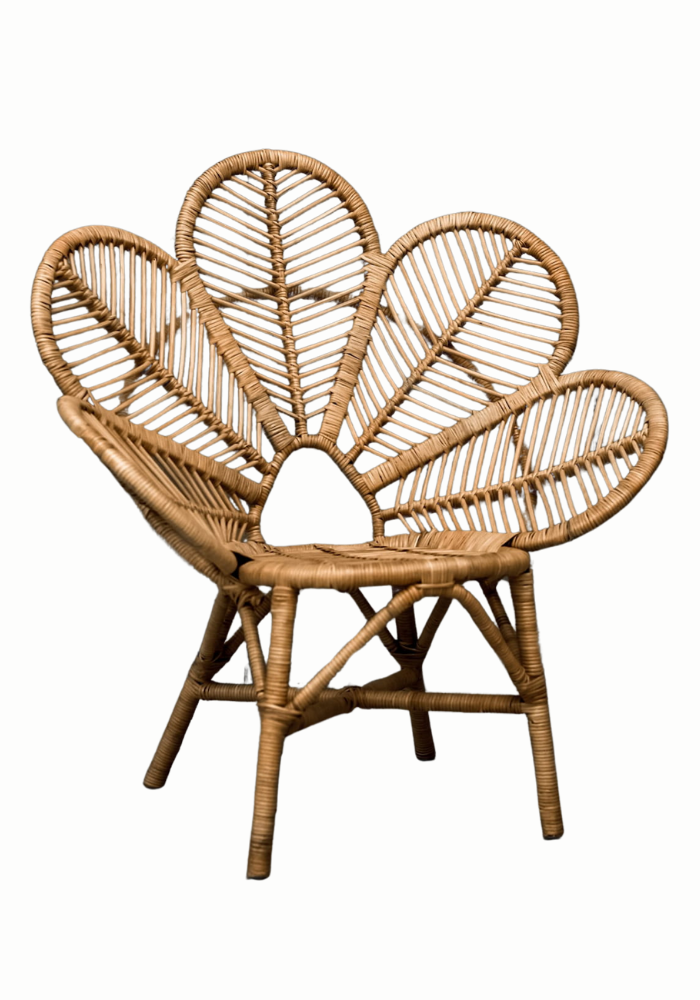 FOTEL MONNA MODEL A NATURALNY