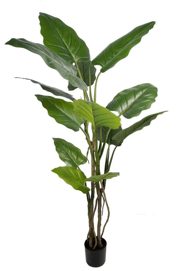 DRZEWKO SZTUCZNE FILODENDRON XXL