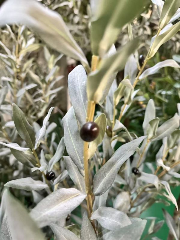 DUŻE SZTUCZNE DRZEWKO OLIWNE SZARE - 190 cm