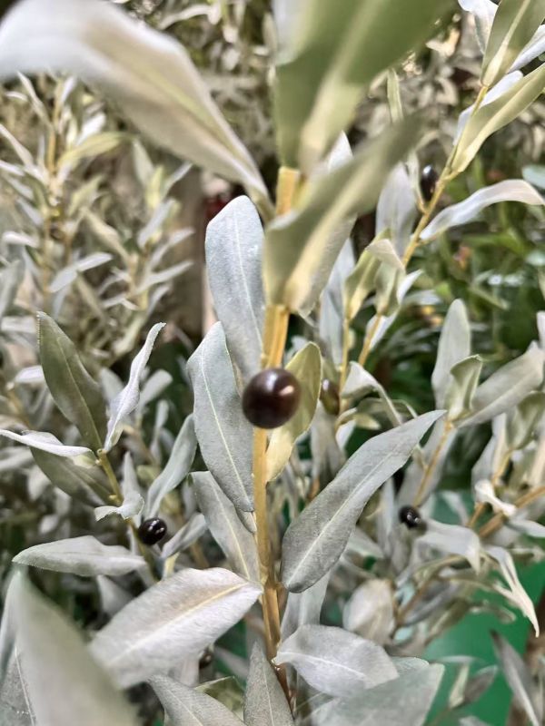 DUŻE SZTUCZNE DRZEWKO OLIWNE SZARE - 190 cm