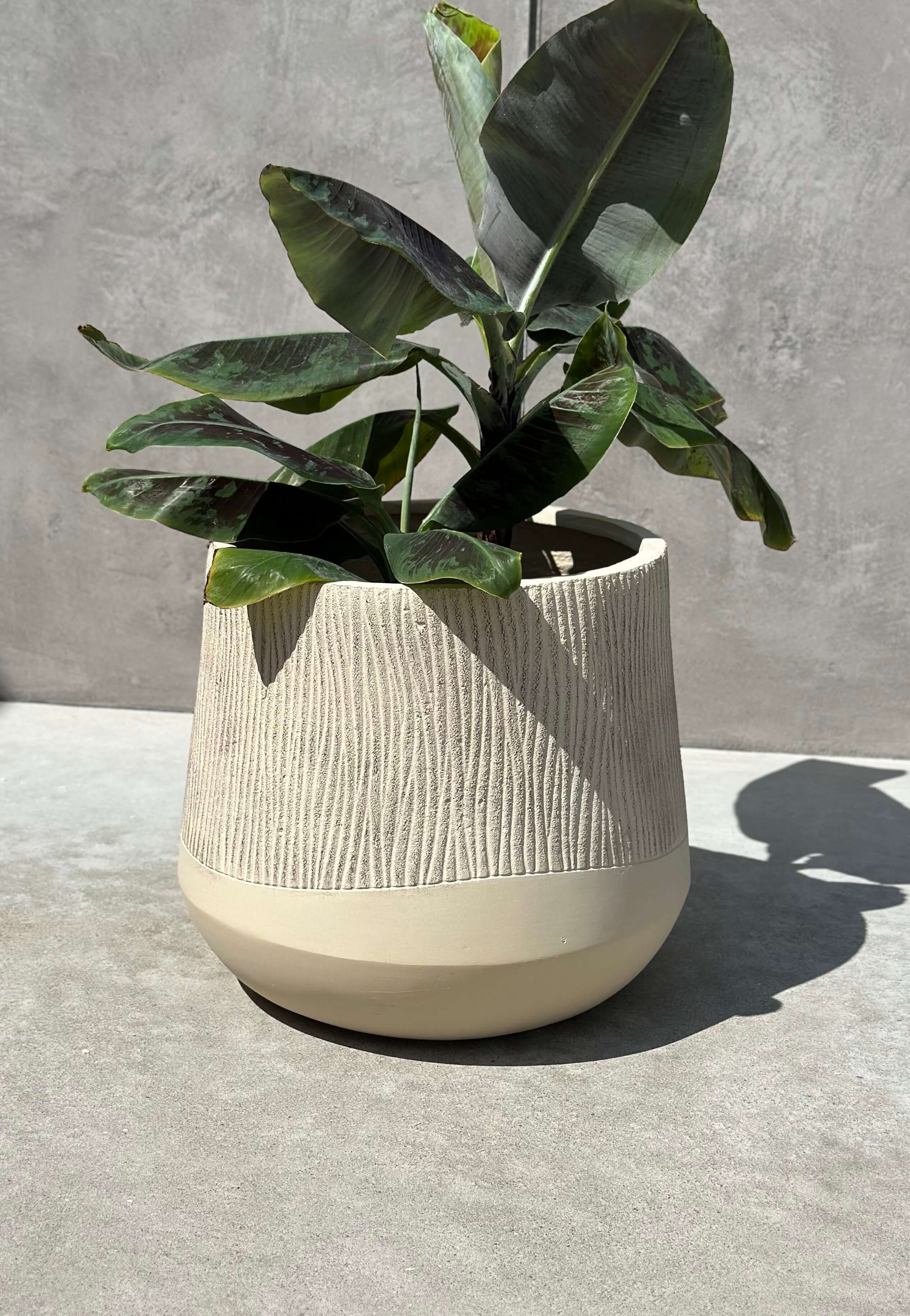 DONICZKA ALETTO SAND EDGE M