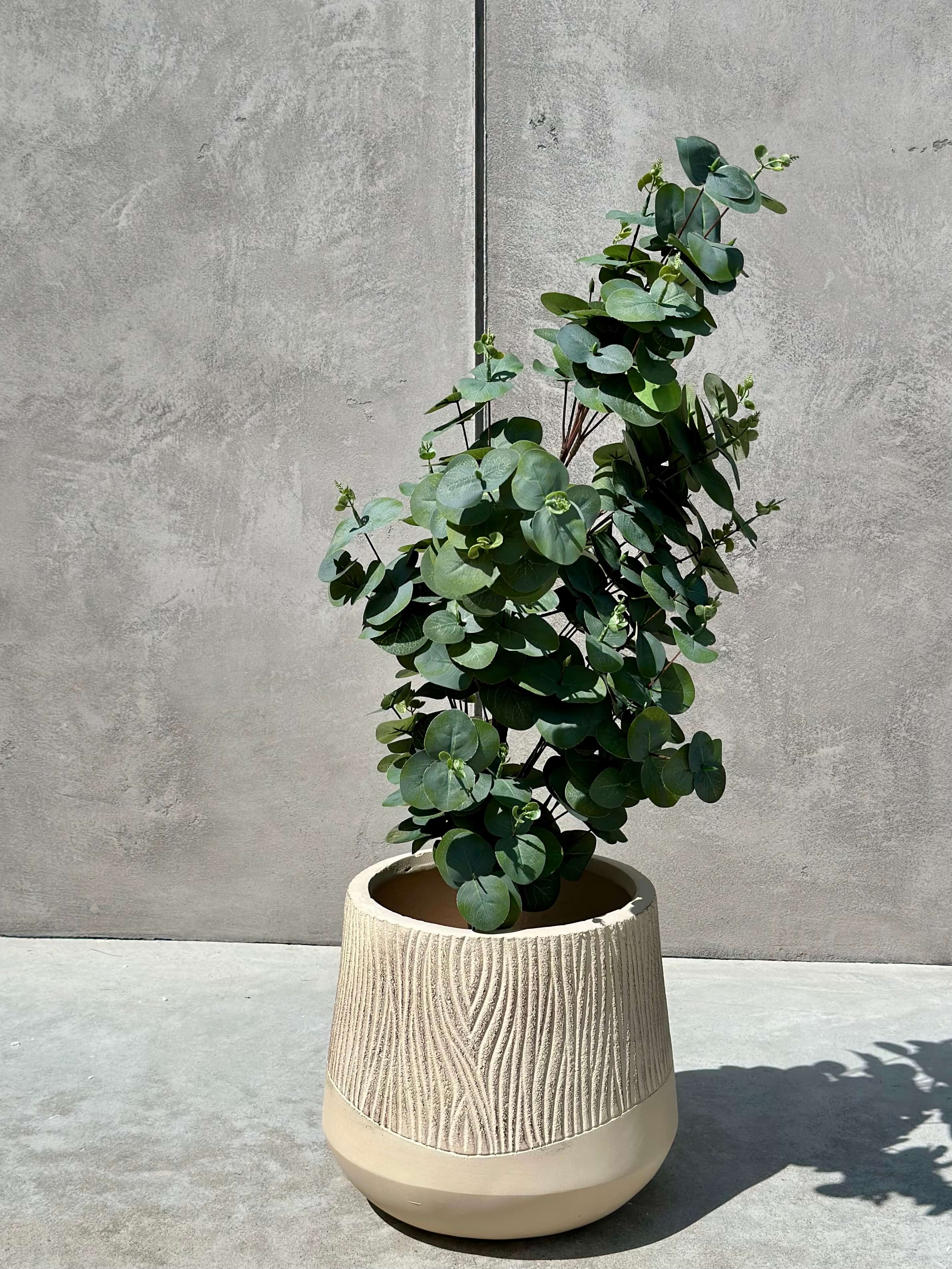 DONICZKA ALETTO SAND EDGE S