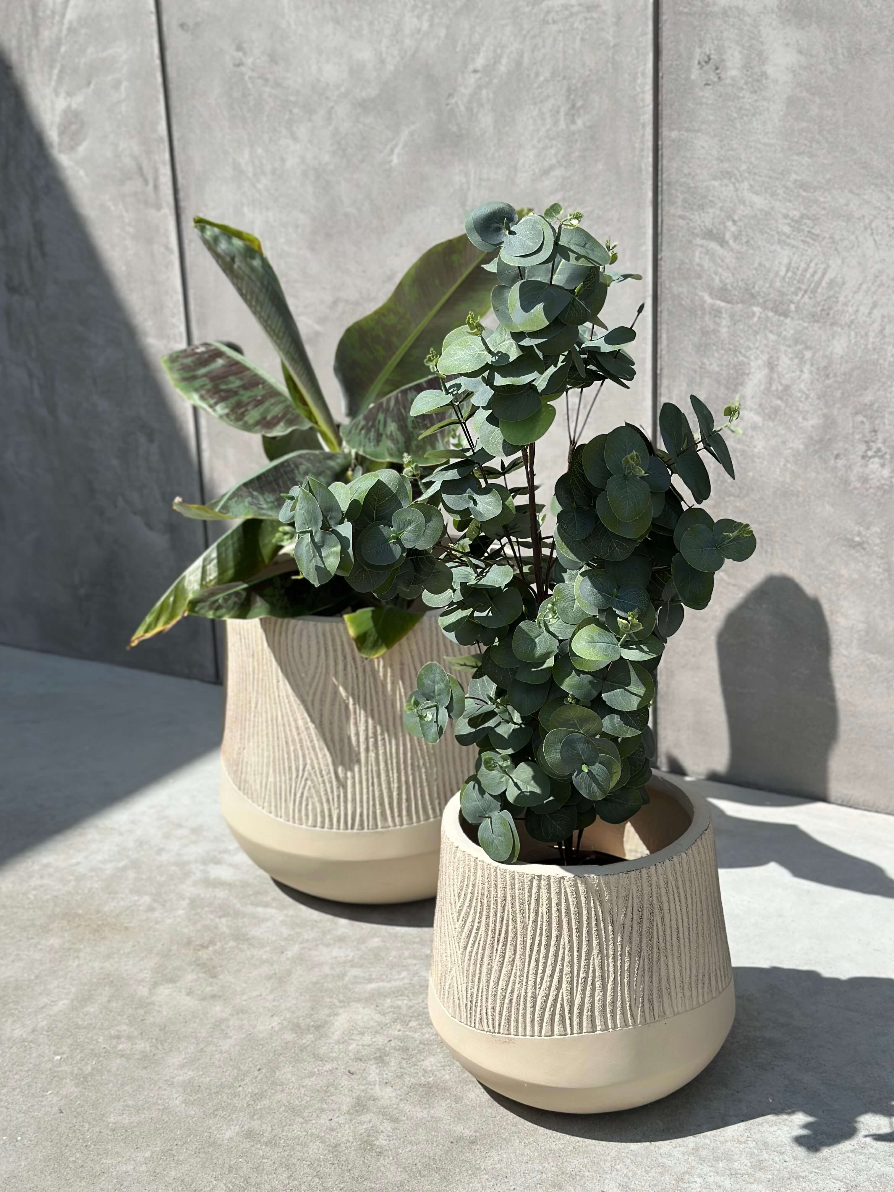 DONICZKA ALETTO SAND EDGE M