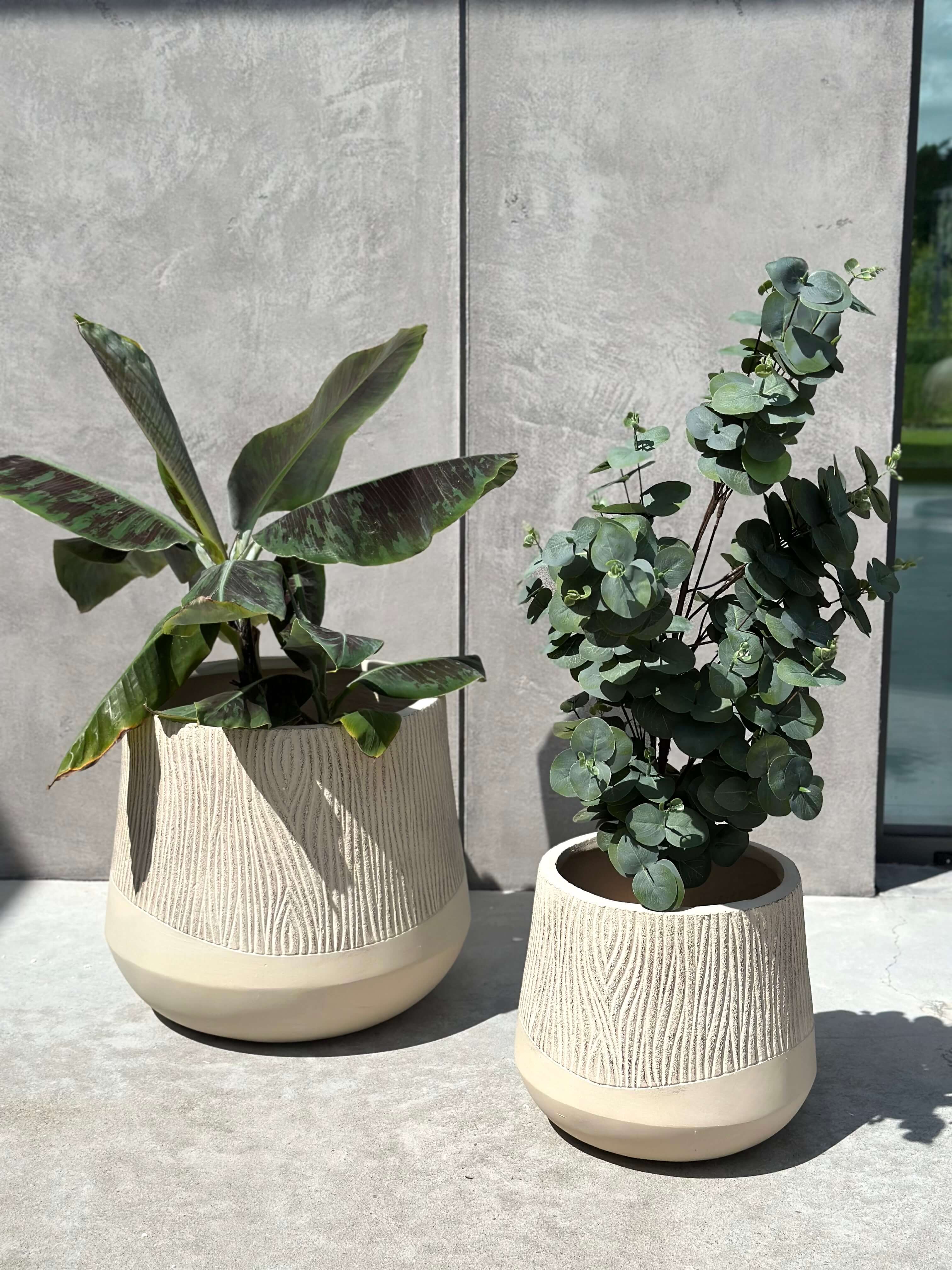 DONICZKA ALETTO SAND EDGE M