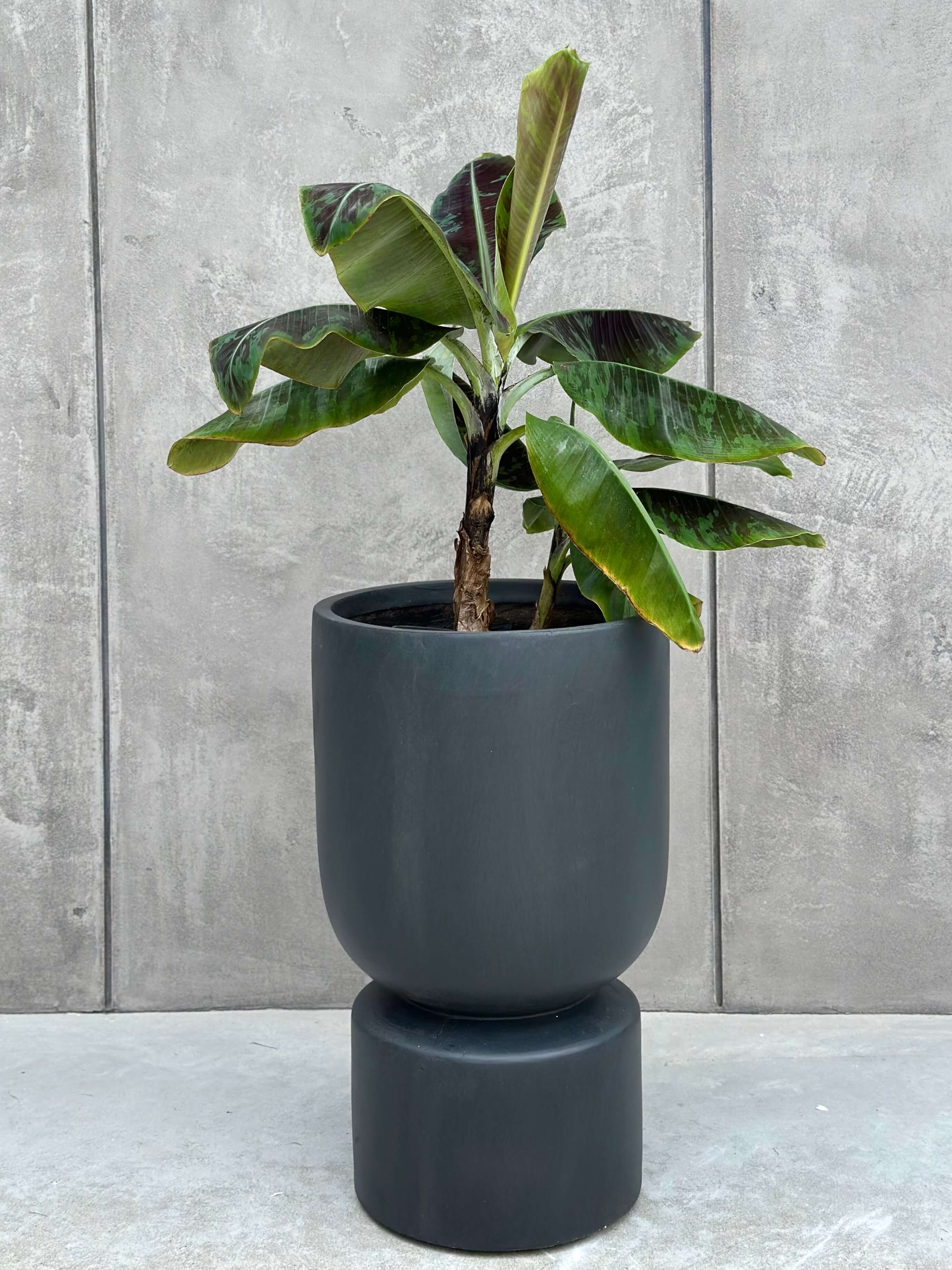 Doniczka MARTISO TALL