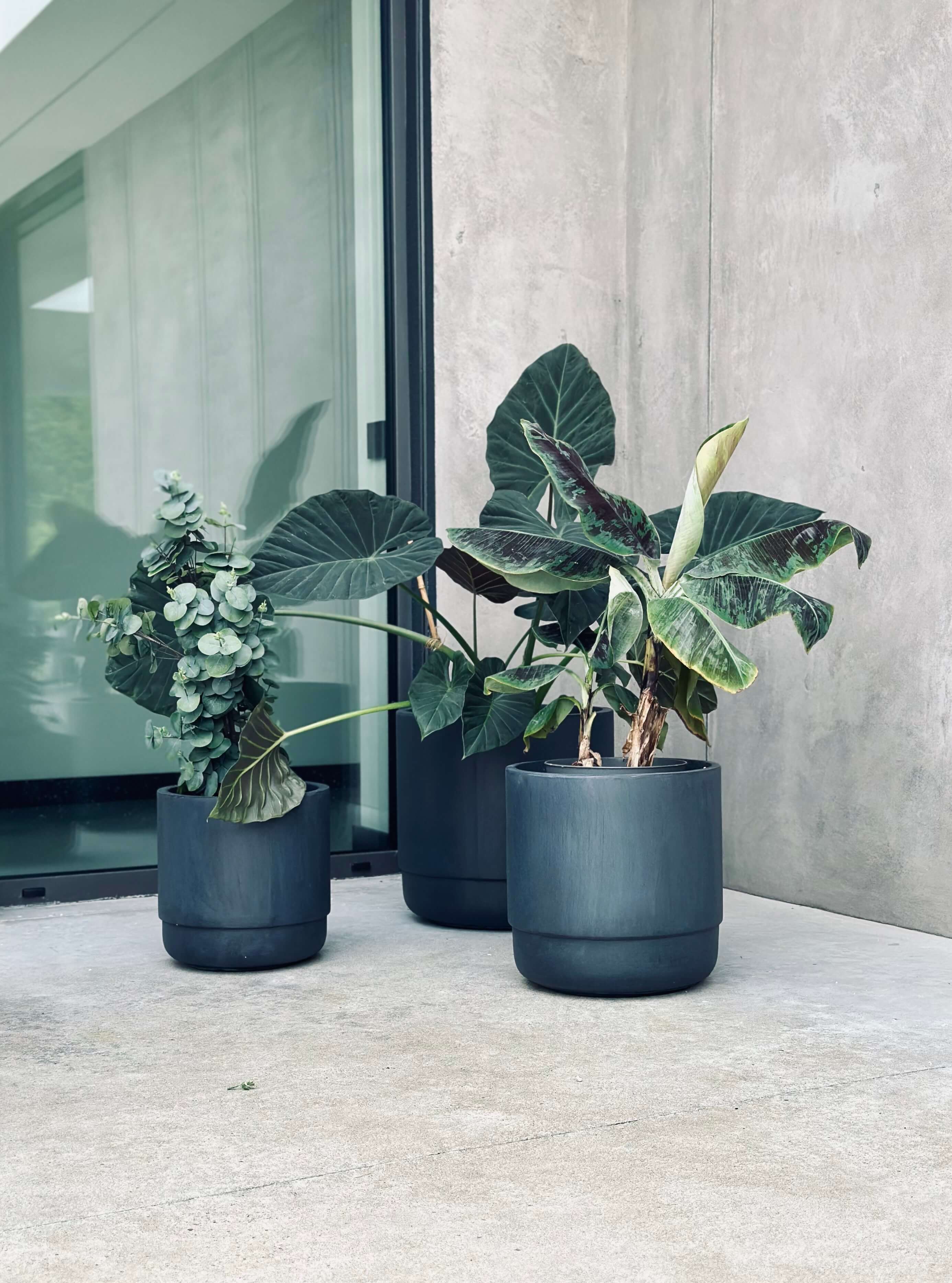 ZESTAW DONICZEK SANTIAGO