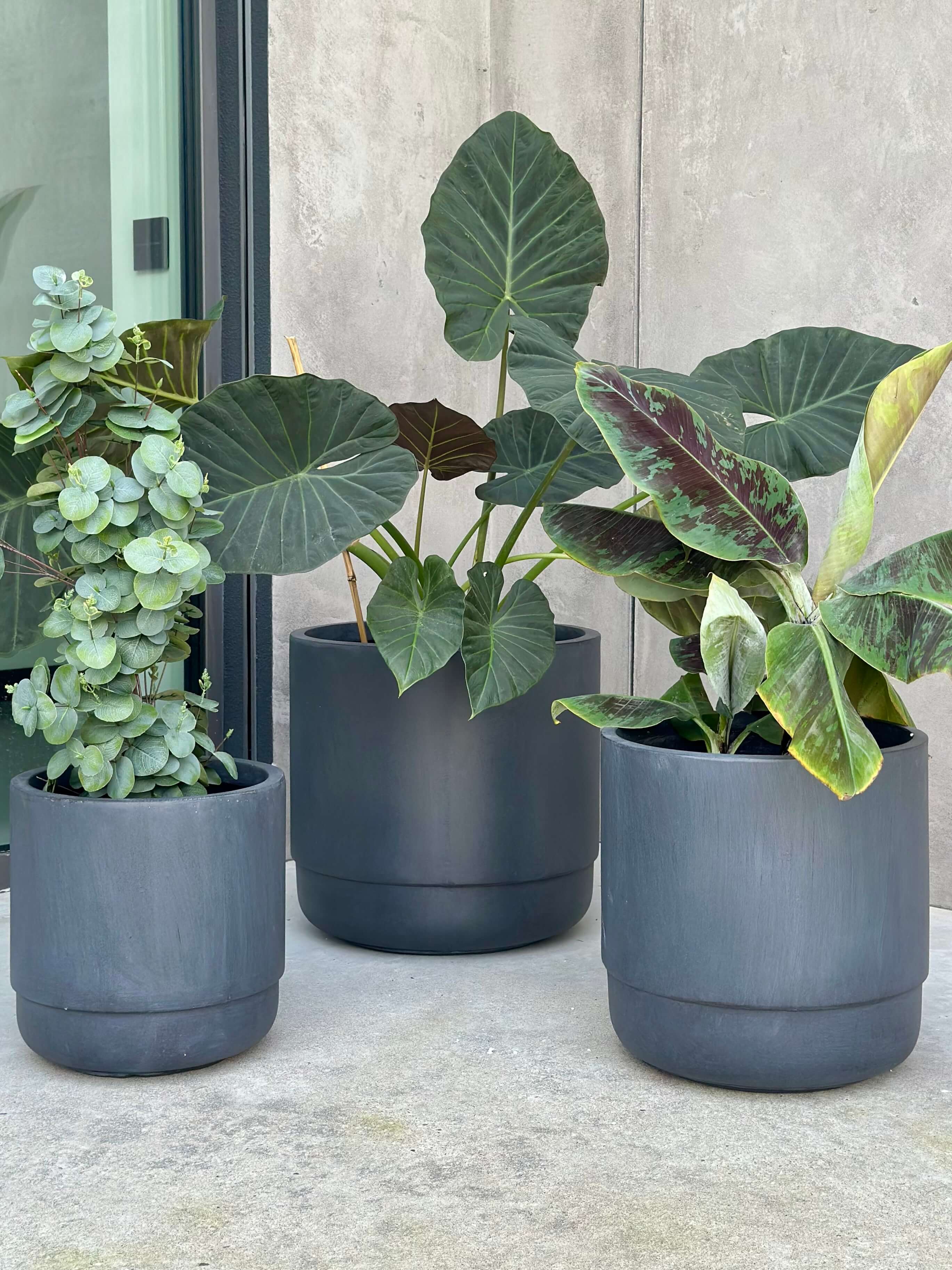 ZESTAW DONICZEK SANTIAGO