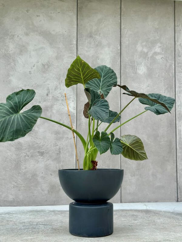 Doniczka MARTISO EDGE