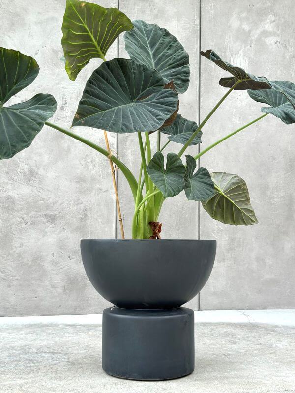 Doniczka MARTISO EDGE