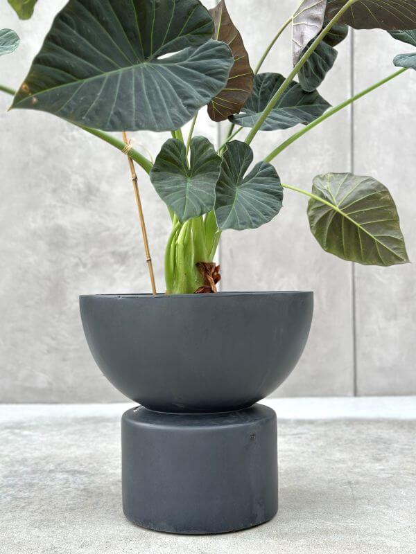 Doniczka MARTISO EDGE