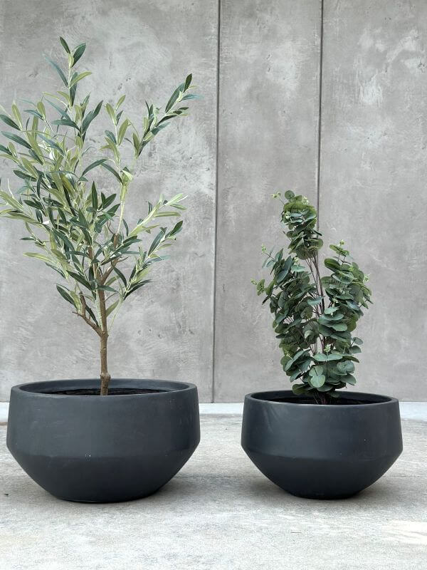 DONICZKA AMANDO S ANTRACYT