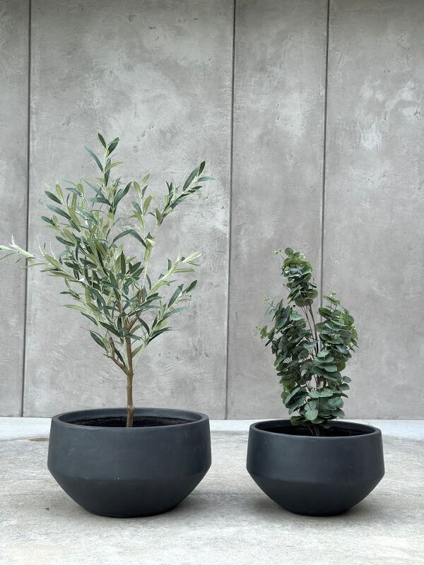 DONICZKA AMANDO S ANTRACYT