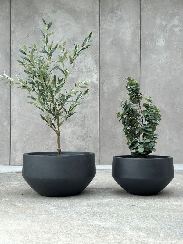 DONICZKA AMANDO S ANTRACYT