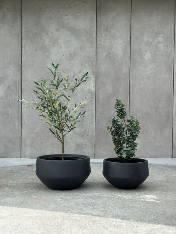 DONICZKA AMANDO S ANTRACYT