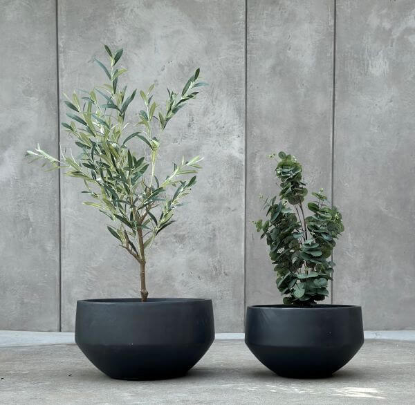 DONICZKA AMANDO S ANTRACYT