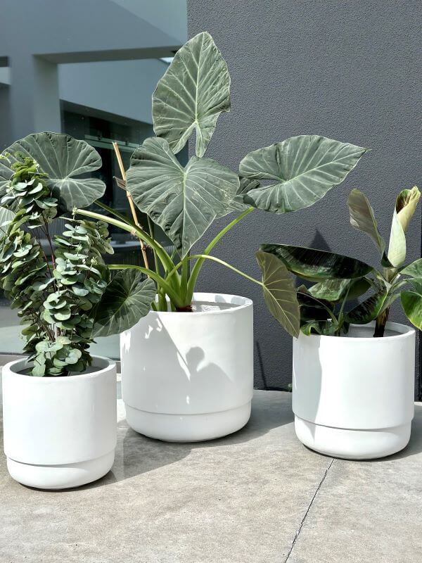 ZESTAW DONICZEK SANTIAGO WHITE SET