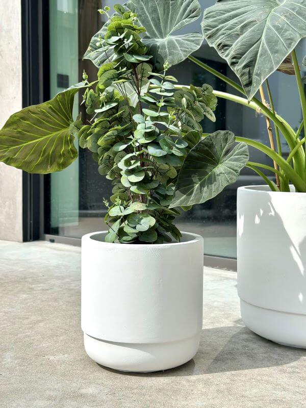 ZESTAW DONICZEK SANTIAGO WHITE SET