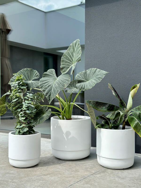 ZESTAW DONICZEK SANTIAGO WHITE SET