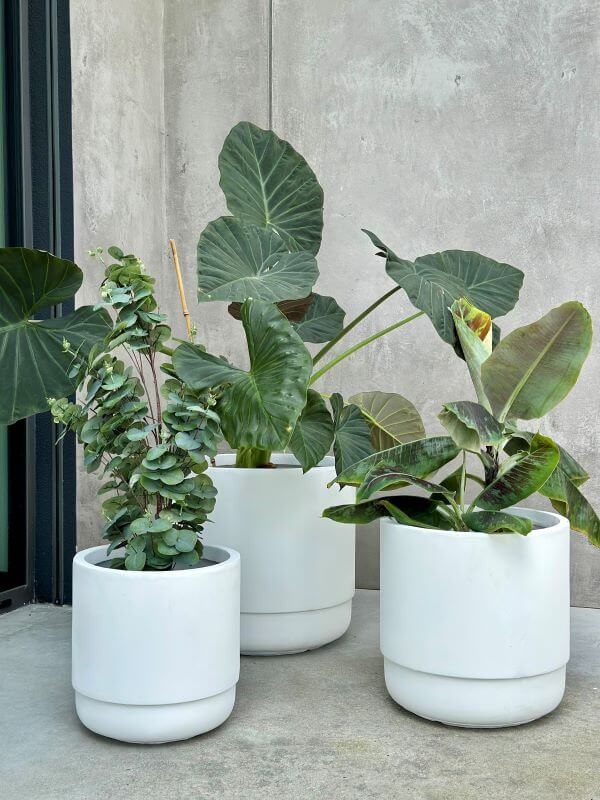 ZESTAW DONICZEK SANTIAGO WHITE SET