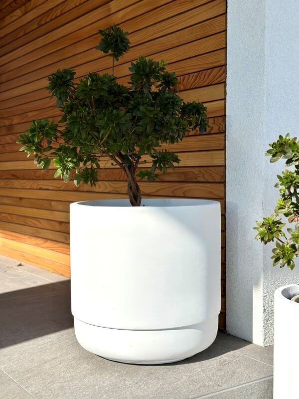 ZESTAW DONICZEK SANTIAGO WHITE SET