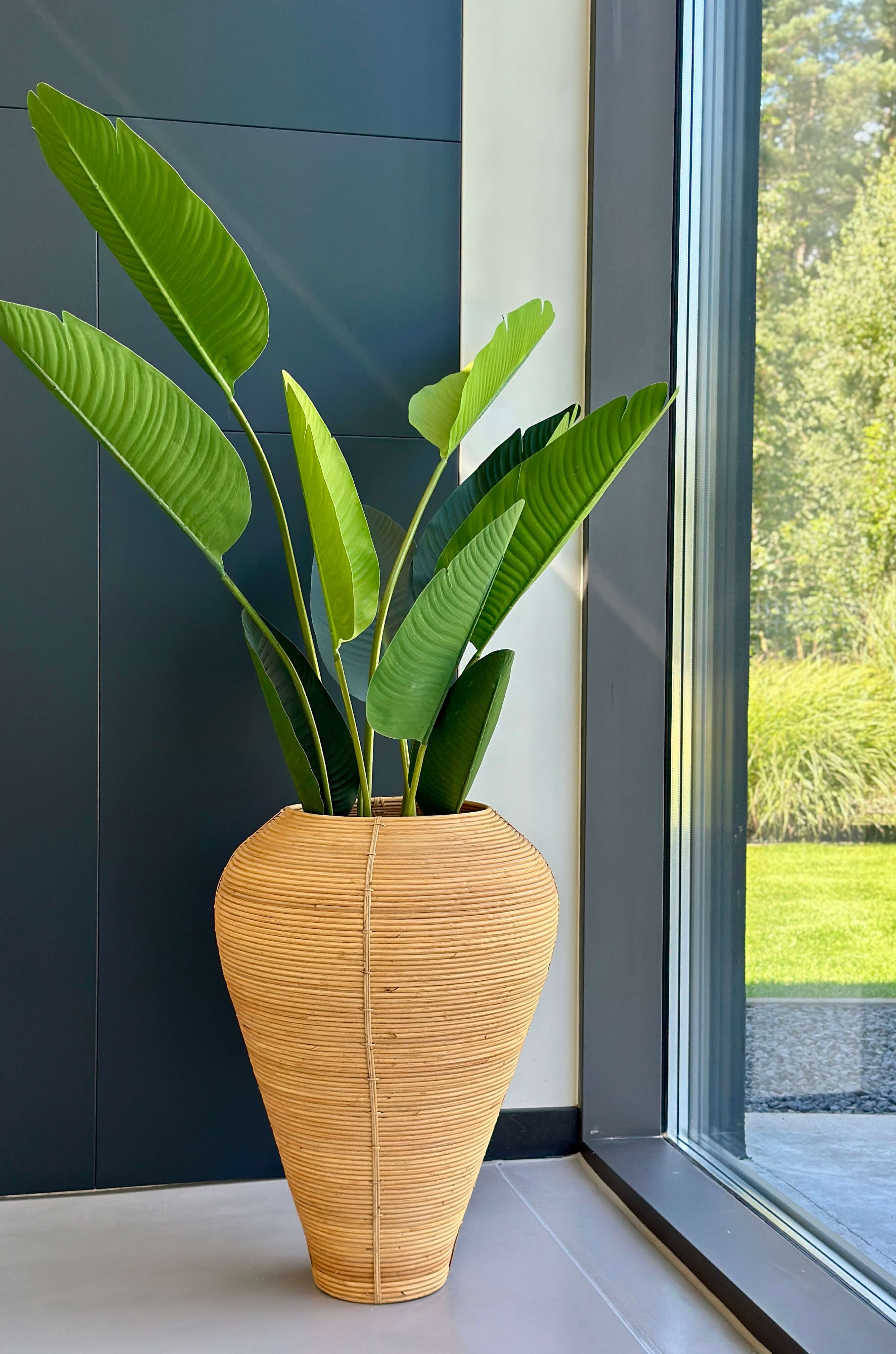 WAZON NICOLAS NATURALNY