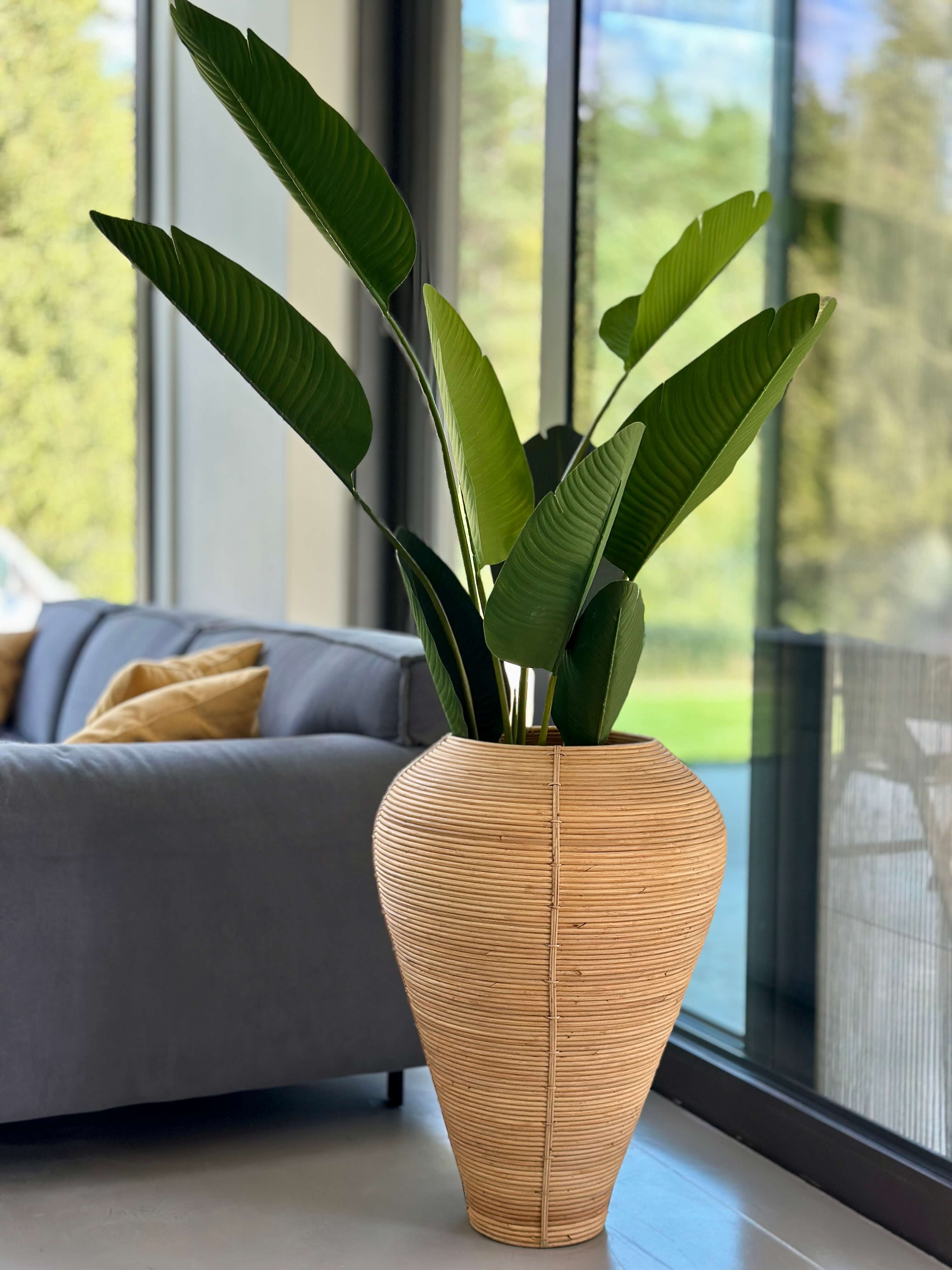 WAZON NICOLAS NATURALNY