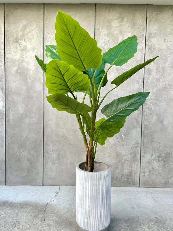 DRZEWKO SZTUCZNE FILODENDRON XXL