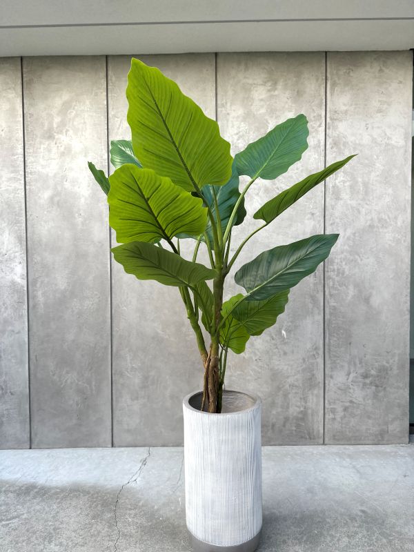 DRZEWKO SZTUCZNE FILODENDRON XXL