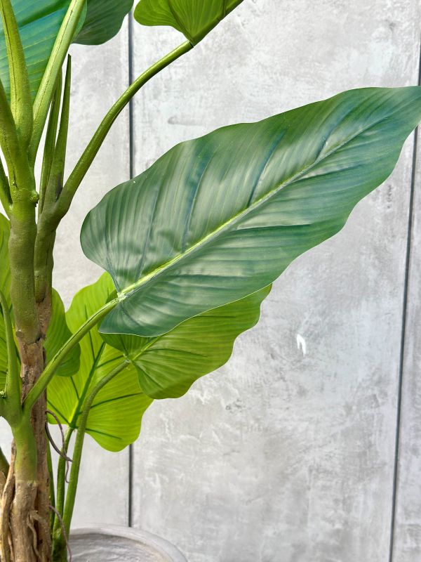 DRZEWKO SZTUCZNE FILODENDRON XXL