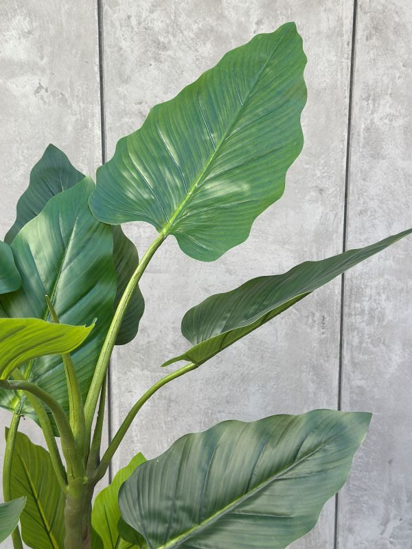 DRZEWKO SZTUCZNE FILODENDRON XXL